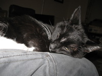 Canon PowerShot A590 IS, 2015:01:07 08:26:09 -- 1/60 sec, f/2.6.  Flash, Auto, Red-Eye Reduce.3264x2448 Red-Eye Reduction (Auto).