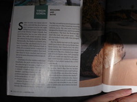 DMC-TS5, 2015:02:27 20:07:17 -- 1/6 sec, f/3.3.  No Flash, Compulsory.4608x3456 0.00 EV.