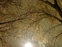 DMC-TS5, 2015:03:01 20:54:51 -- 1/4 sec, f/3.3.  No Flash, Compulsory.4608x3456 0.00 EV.