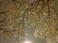 DMC-TS5, 2015:03:01 20:55:02 -- 1/4 sec, f/5.2.  No Flash, Compulsory.4608x3456 0.00 EV.