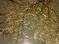 DMC-TS5, 2015:03:01 20:55:08 -- 1/4 sec, f/5.2.  No Flash, Compulsory.4608x3456 0.00 EV.