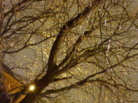 DMC-TS5, 2015:03:01 20:55:16 -- 1/4 sec, f/5.2.  No Flash, Compulsory.4608x3456 0.00 EV.