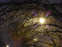 DMC-TS5, 2015:03:01 20:55:26 -- 1/10 sec, f/5.2.  No Flash, Compulsory.4608x3456 0.00 EV.