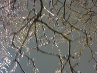 DMC-TS5, 2015:03:01 20:55:35 -- 1/4 sec, f/5.2.  No Flash, Compulsory.4608x3456 0.00 EV.