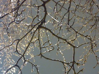 DMC-TS5, 2015:03:01 20:55:38 -- 1/4 sec, f/5.2.  No Flash, Compulsory.3072x2304 0.00 EV.