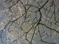 DMC-TS5, 2015:03:01 20:55:41 -- 1/4 sec, f/5.2.  No Flash, Compulsory.4608x3456 0.00 EV.