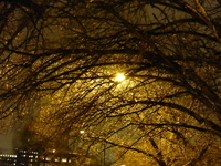 DMC-TS5, 2015:03:01 20:56:06 -- 1/4 sec, f/5.2.  No Flash, Compulsory.4608x3456 0.00 EV.