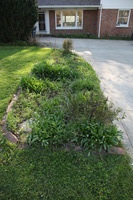 Canon EOS 5D Mark II, 2016:05:08 16:28:05 -- 1/60 sec, f/5.0.  No Flash, Compulsory.5616x3744 Off.