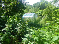 DMC-TS5, 2016:07:12 07:11:52 -- 1/250 sec, f/3.7.  No Flash, Compulsory.4608x3456 0.00 EV.