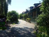 DMC-TS5, 2016:07:12 07:10:22 -- 1/500 sec, f/3.7.  No Flash, Compulsory.4608x3456 0.00 EV.