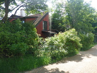 DMC-TS5, 2016:07:12 07:24:35 -- 1/200 sec, f/3.3.  No Flash, Compulsory.4608x3456 0.00 EV.