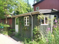 DMC-TS5, 2016:07:12 07:24:50 -- 1/250 sec, f/3.3.  No Flash, Compulsory.4608x3456 0.00 EV.