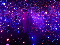 DMC-TS5, 2016:07:12 13:16:23 -- 1/4 sec, f/3.3.  No Flash, Compulsory.4608x3456 0.00 EV.