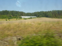 DMC-TS5, 2016:07:25 10:38:38 -- 1/250 sec, f/4.2.  No Flash, Compulsory.4608x3456 0.00 EV.