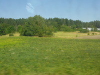 DMC-TS5, 2016:07:25 10:38:41 -- 1/250 sec, f/4.2.  No Flash, Compulsory.4608x3456 