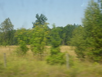 DMC-TS5, 2016:07:25 10:53:14 -- 1/320 sec, f/5.4.  No Flash, Compulsory.4608x3456 