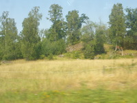 DMC-TS5, 2016:07:25 10:53:18 -- 1/320 sec, f/5.4.  No Flash, Compulsory.4608x3456 