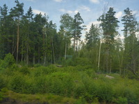 DMC-TS5, 2016:07:25 11:39:38 -- 1/320 sec, f/3.3.  No Flash, Compulsory.4608x3456 