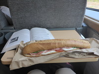 DMC-TS5, 2016:07:25 11:40:41 -- 1/100 sec, f/3.3.  No Flash, Compulsory.4608x3456 