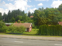 DMC-TS5, 2016:07:25 11:54:49 -- 1/250 sec, f/3.3.  No Flash, Compulsory.4608x3456 