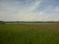 DMC-TS5, 2016:07:25 12:41:18 -- 1/640 sec, f/3.3.  No Flash, Compulsory.4608x3456 