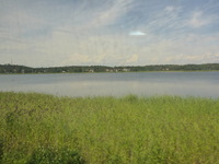 DMC-TS5, 2016:07:25 12:41:25 -- 1/800 sec, f/3.3.  No Flash, Compulsory.4608x3456 