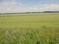 DMC-TS5, 2016:07:25 12:56:57 -- 1/640 sec, f/3.3.  No Flash, Compulsory.4608x3456 