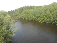 DMC-TS5, 2016:07:25 13:05:12 -- 1/250 sec, f/3.3.  No Flash, Compulsory.4608x3456 