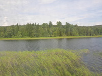 DMC-TS5, 2016:07:25 13:14:02 -- 1/400 sec, f/3.3.  No Flash, Compulsory.4608x3456 