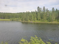 DMC-TS5, 2016:07:25 13:14:09 -- 1/400 sec, f/3.3.  No Flash, Compulsory.4608x3456 