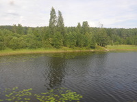 DMC-TS5, 2016:07:25 13:14:17 -- 1/250 sec, f/3.3.  No Flash, Compulsory.4608x3456 