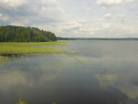 DMC-TS5, 2016:07:25 13:15:59 -- 1/500 sec, f/3.3.  No Flash, Compulsory.4608x3456 