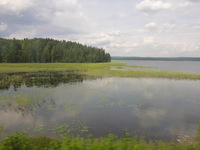 DMC-TS5, 2016:07:25 13:16:00 -- 1/500 sec, f/3.3.  No Flash, Compulsory.4608x3456 