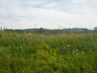 DMC-TS5, 2016:07:25 13:58:47 -- 1/400 sec, f/3.3.  No Flash, Compulsory.4608x3456 