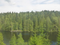 DMC-TS5, 2016:07:25 13:59:12 -- 1/320 sec, f/3.3.  No Flash, Compulsory.4608x3456 