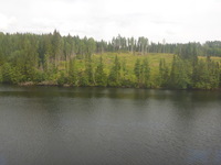 DMC-TS5, 2016:07:25 13:59:49 -- 1/250 sec, f/3.3.  No Flash, Compulsory.4608x3456 