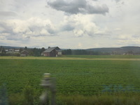 DMC-TS5, 2016:07:25 14:24:05 -- 1/500 sec, f/3.3.  No Flash, Compulsory.4608x3456 