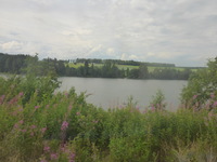 DMC-TS5, 2016:07:25 14:54:26 -- 1/640 sec, f/3.3.  No Flash, Compulsory.4608x3456 