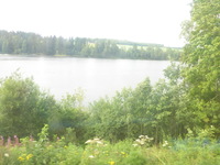 DMC-TS5, 2016:07:25 14:54:44 -- 1/250 sec, f/3.3.  No Flash, Compulsory.4608x3456 