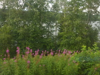 DMC-TS5, 2016:07:25 14:54:49 -- 1/250 sec, f/3.3.  No Flash, Compulsory.4608x3456 