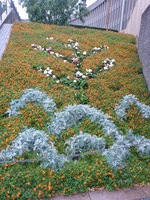 DMC-TS5, 2016:07:25 18:52:57 -- 1/125 sec, f/3.3.  No Flash, Compulsory.4608x3456 