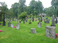 DMC-TS5, 2016:07:25 19:01:51 -- 1/60 sec, f/3.3.  No Flash, Compulsory.4608x3456 