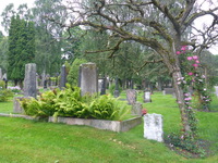 DMC-TS5, 2016:07:25 19:02:52 -- 1/60 sec, f/3.3.  No Flash, Compulsory.4608x3456 