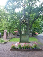 DMC-TS5, 2016:07:25 19:04:47 -- 1/100 sec, f/3.3.  No Flash, Compulsory.4608x3456 