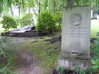 DMC-TS5, 2016:07:25 19:08:53 -- 1/13 sec, f/3.3.  No Flash, Compulsory.4608x3456 