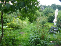 DMC-TS5, 2016:07:25 19:29:10 -- 1/60 sec, f/3.3.  No Flash, Compulsory.4608x3456 0.00 EV.