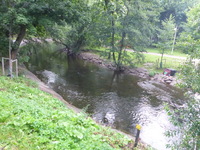 DMC-TS5, 2016:07:25 19:31:50 -- 1/100 sec, f/3.3.  No Flash, Compulsory.4608x3456 