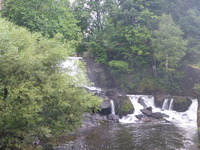 DMC-TS5, 2016:07:25 19:43:31 -- 1/40 sec, f/4.3.  No Flash, Compulsory.4608x3456 