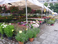 DMC-TS5, 2016:07:25 20:23:05 -- 1/50 sec, f/3.3.  No Flash, Compulsory.4608x3456 