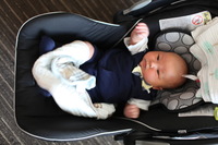 Canon EOS 5D Mark II, 2016:08:27 15:50:26 -- 1/30 sec, f/2.0.  No Flash, Compulsory.5616x3744 